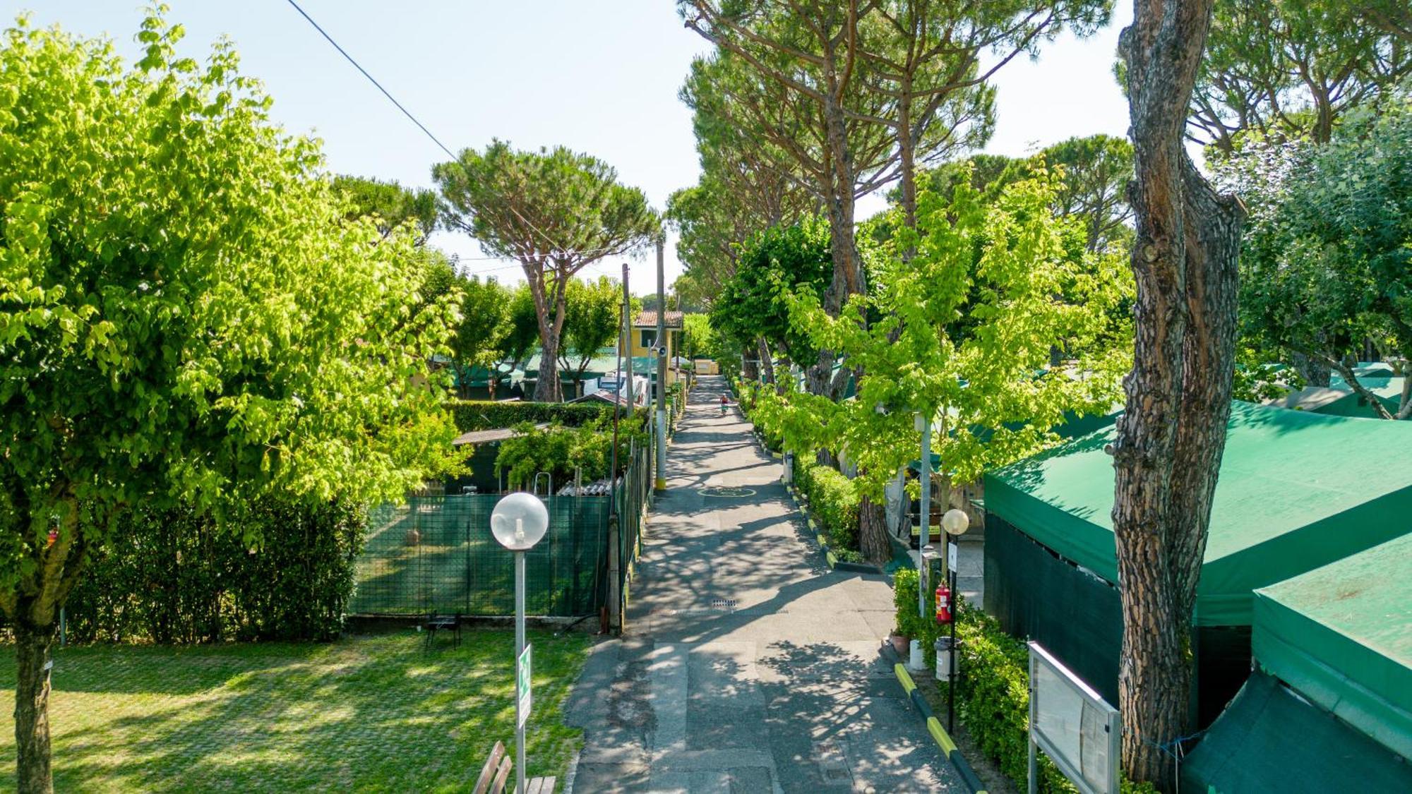 Camping Apuano Marina di Massa Dış mekan fotoğraf
