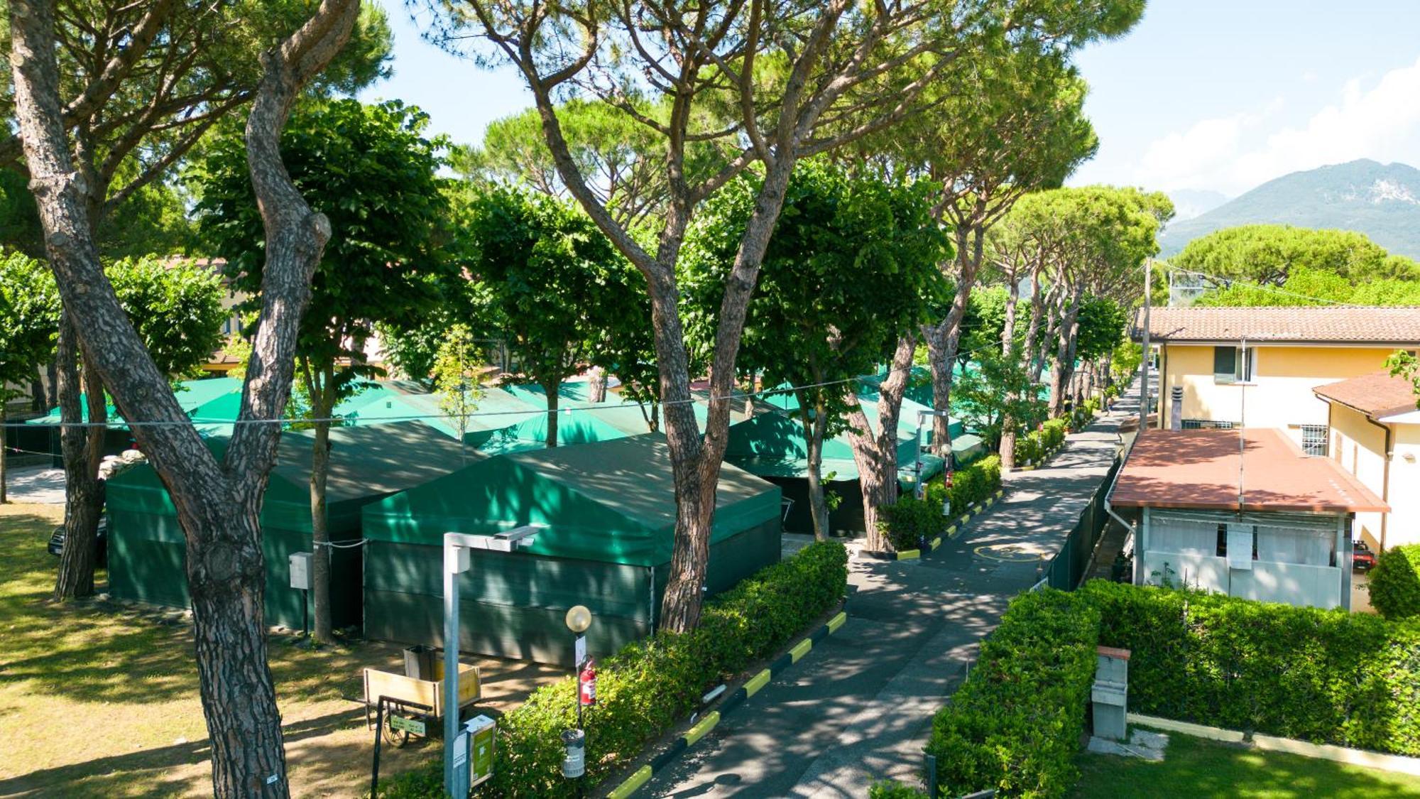Camping Apuano Marina di Massa Dış mekan fotoğraf